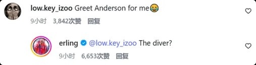 哈兰德回怼球迷：跳水的那位？