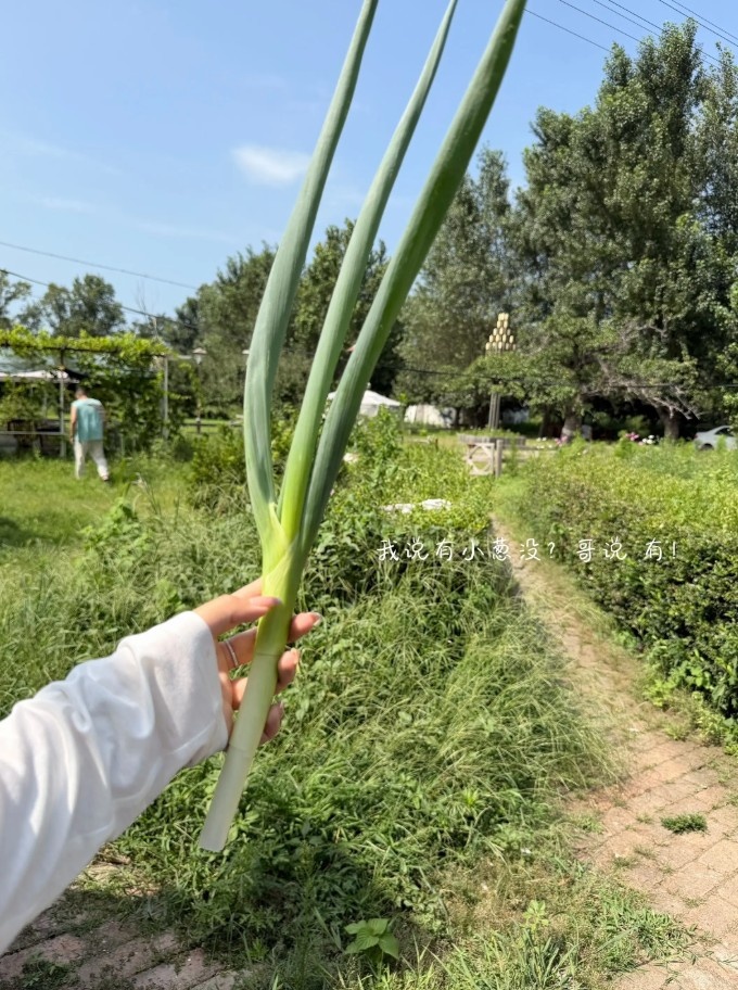 吴昌泽妻子晒牧场近照 上季场均2.2分2.1篮板 吴昌泽妻子晒牧场近照 上季场均2.2分2.1篮板