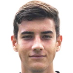 米兰尼