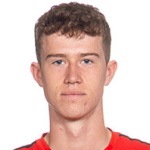 V·安德森
